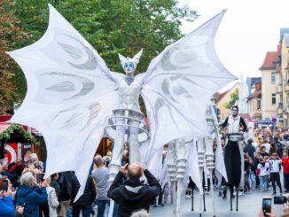 Radebeul Weinfest