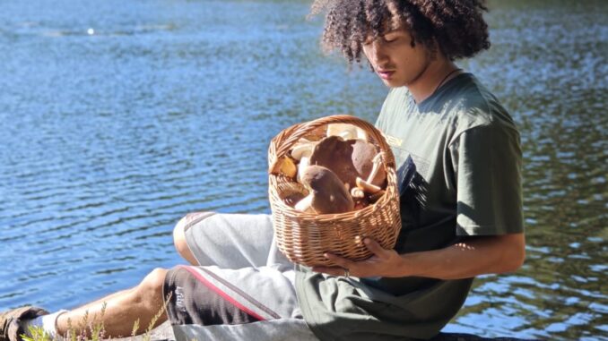 Tristan_Jurisch_Pilzfluencer_online Pilzfluencer