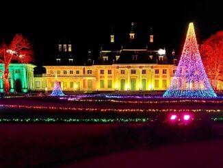 Christmas Garden 2025