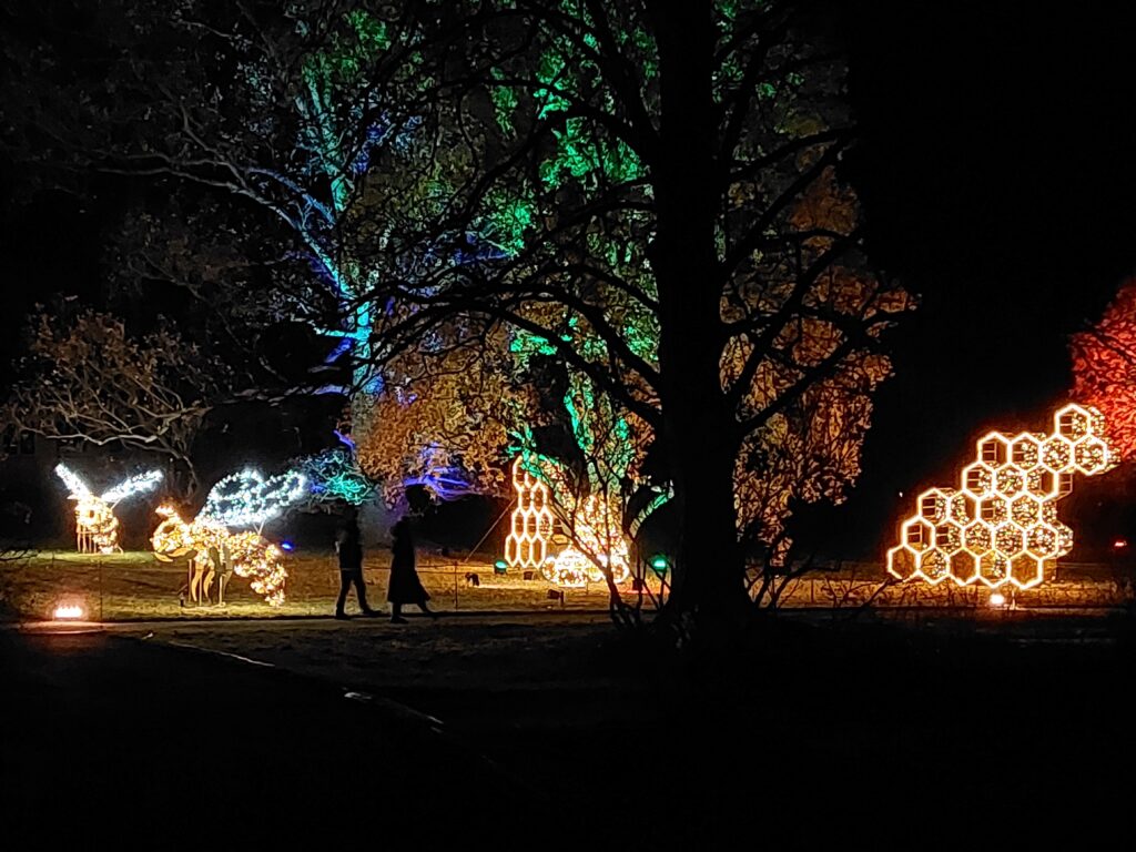 Christmas Garden 2025