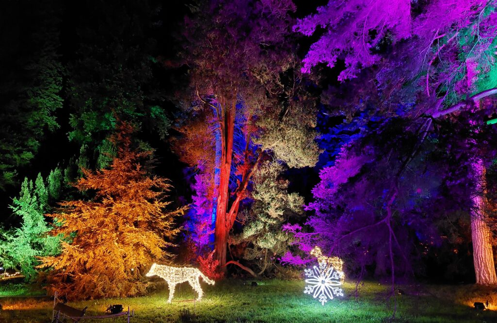 Christmas Garden 2025