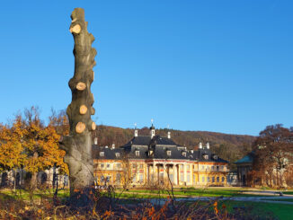 Schlosspark Pillnitz
