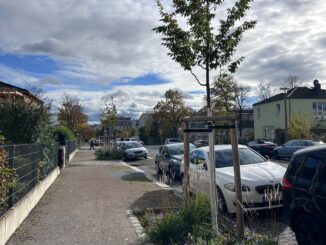 B&auml;ume Baum Pflanzung