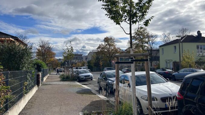 B&auml;ume Baum Pflanzung