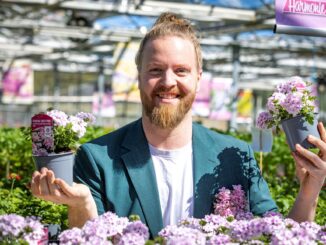 Bl&uuml;hendes Sachsen