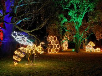 Christmas Garden