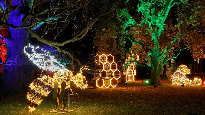 Christmas Garden