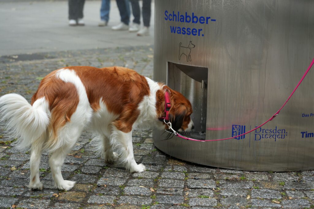 Trinkwasserbrunnen 